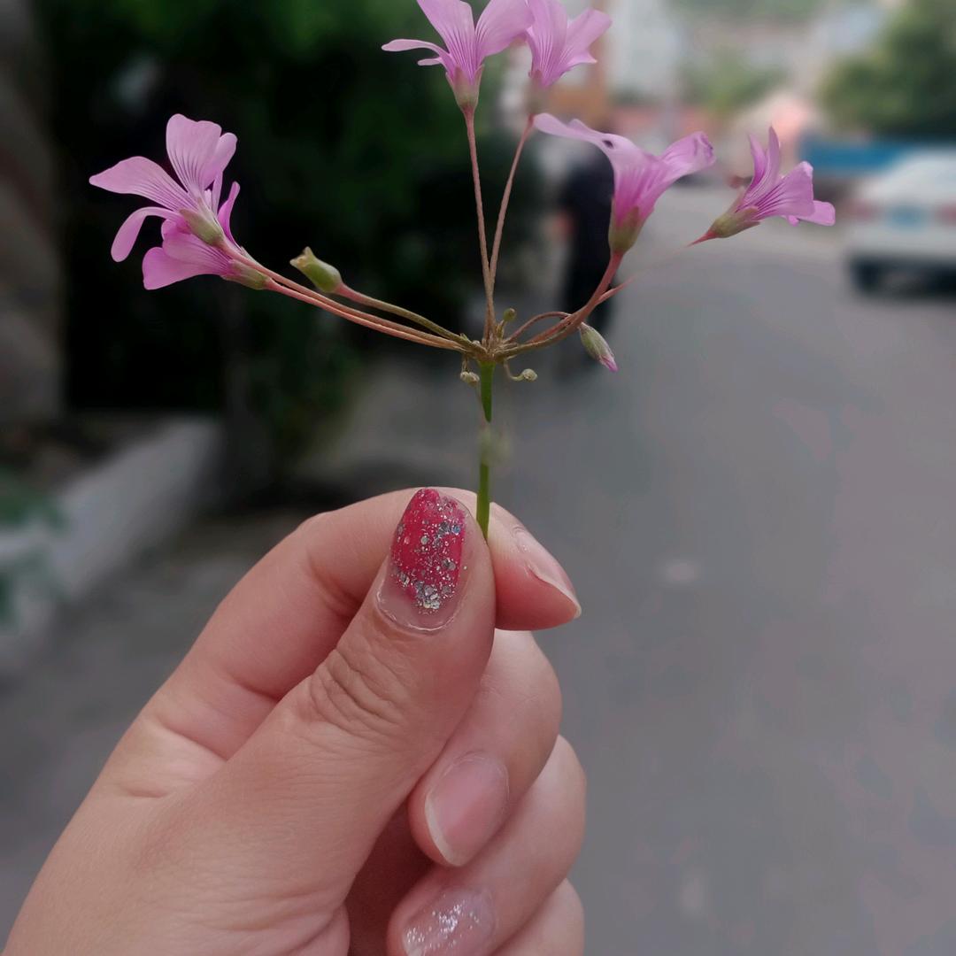 罔不醒
