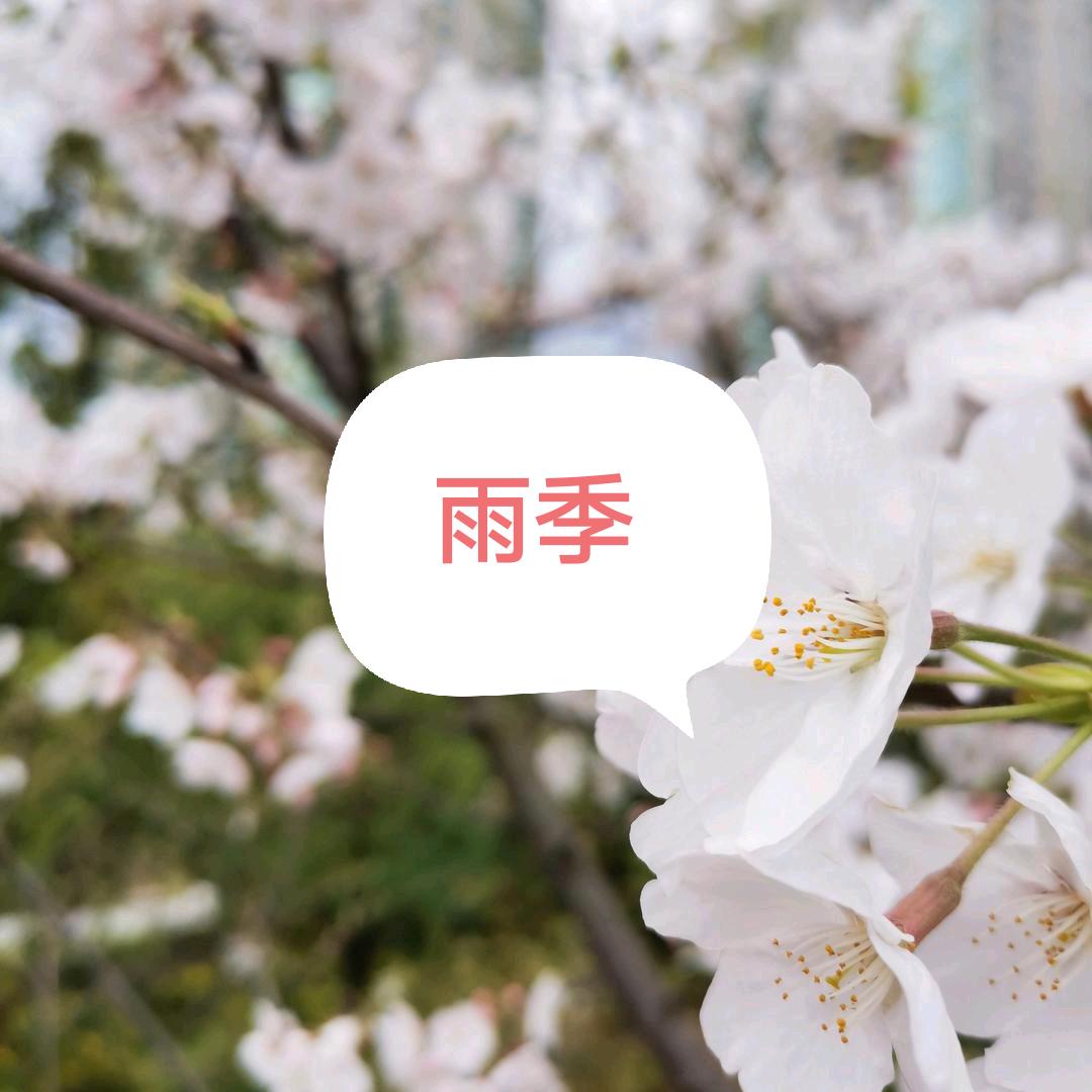 @雨季🇨🇳影视花絮