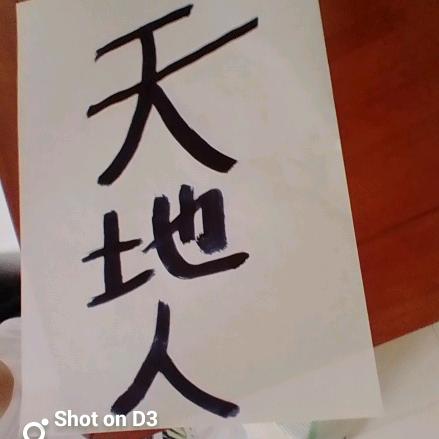 曹县的张某