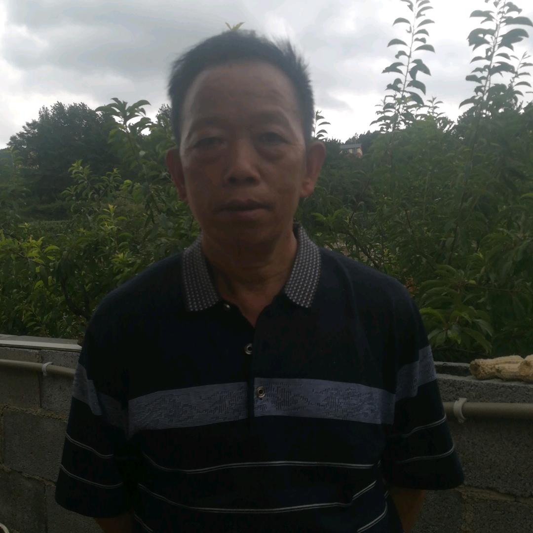 52212219620912855他这个