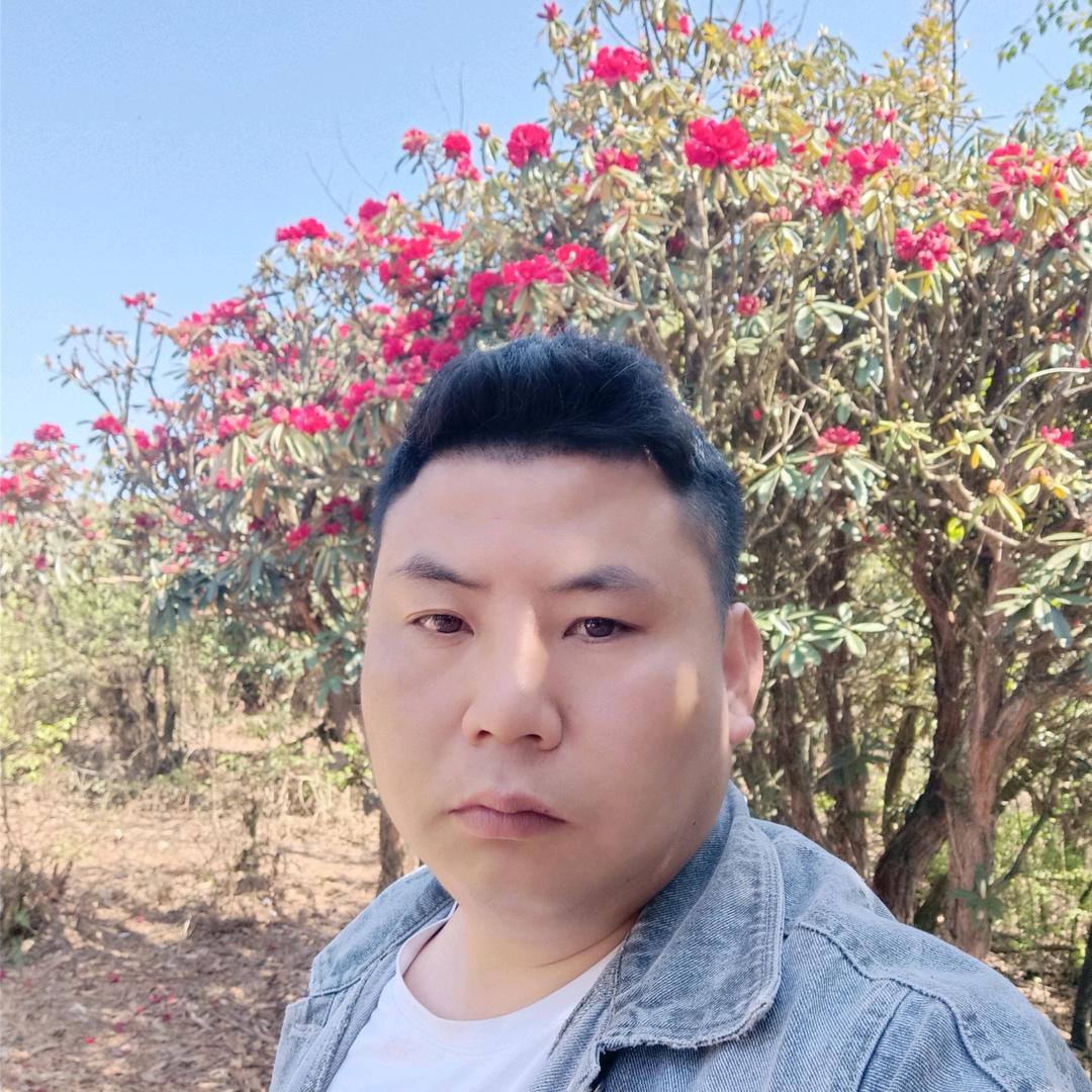 金沙贵哥
