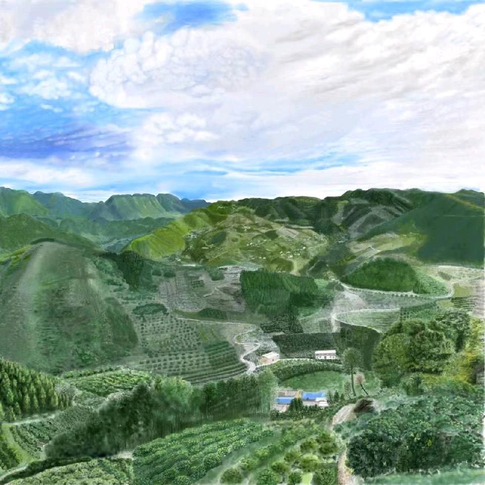 松毛儿