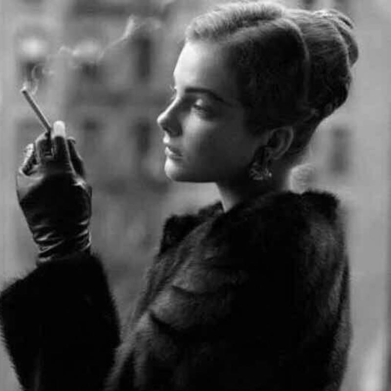 太阳不懂薄荷的凉