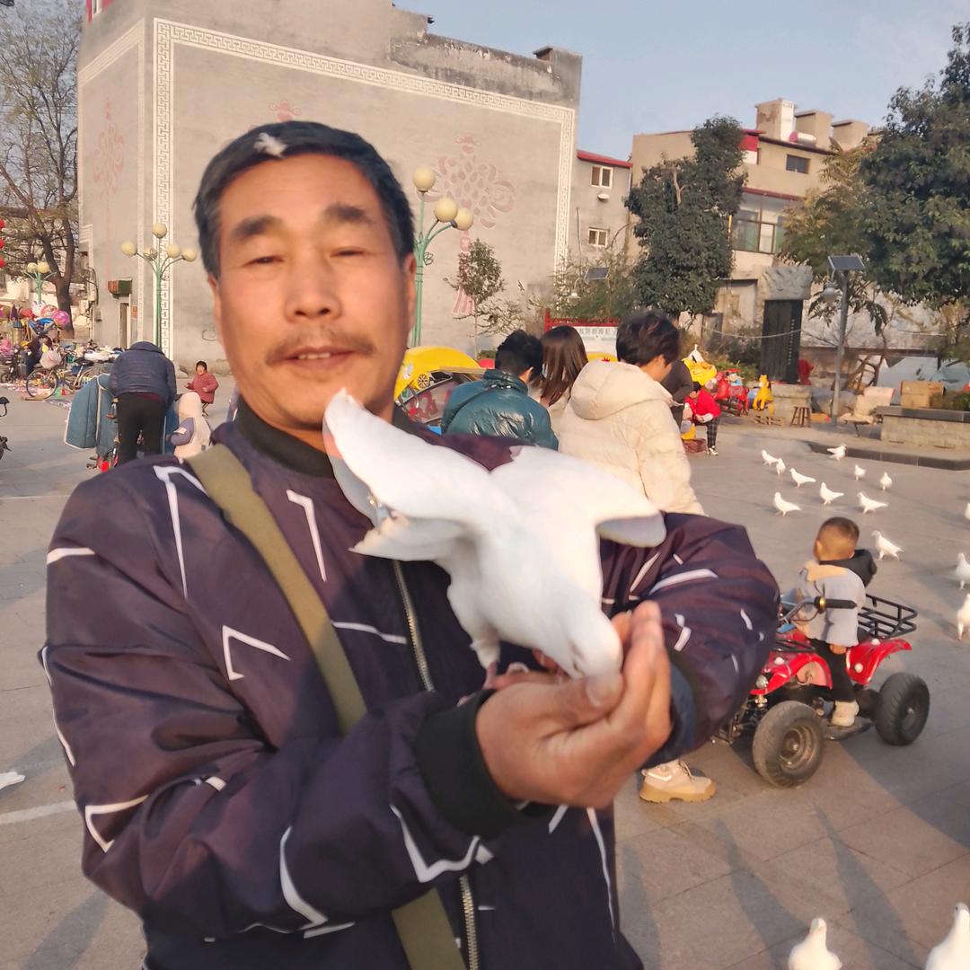 悟声
