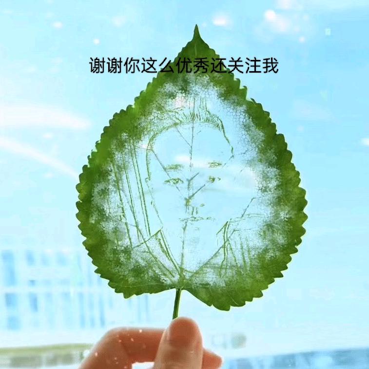 🐛爱哭的毛毛虫🐛