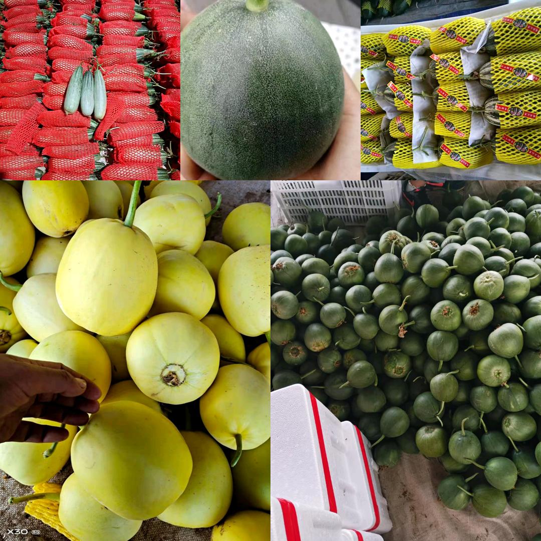 萍伟果蔬供应链