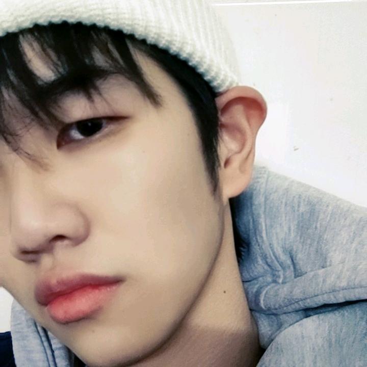 不战败犬（怠惰版）