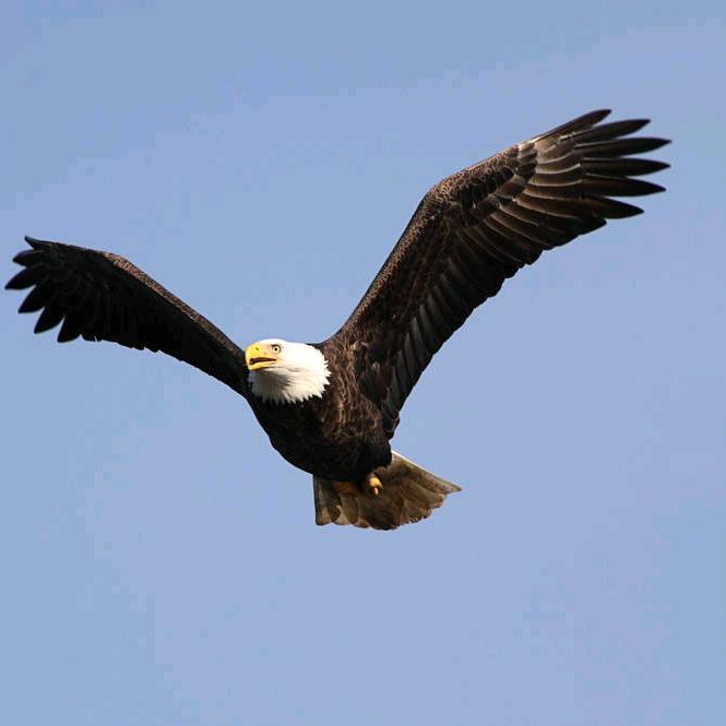 临漳县星达农业（静涛）