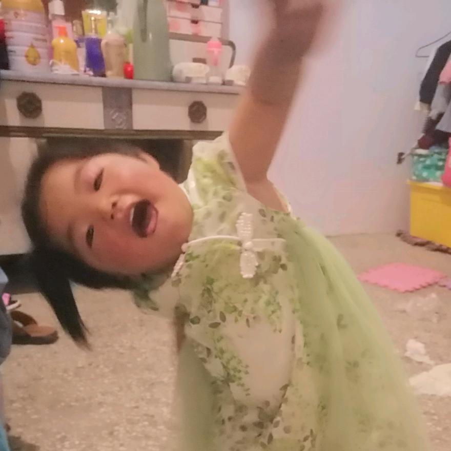 张是张诗彤的张