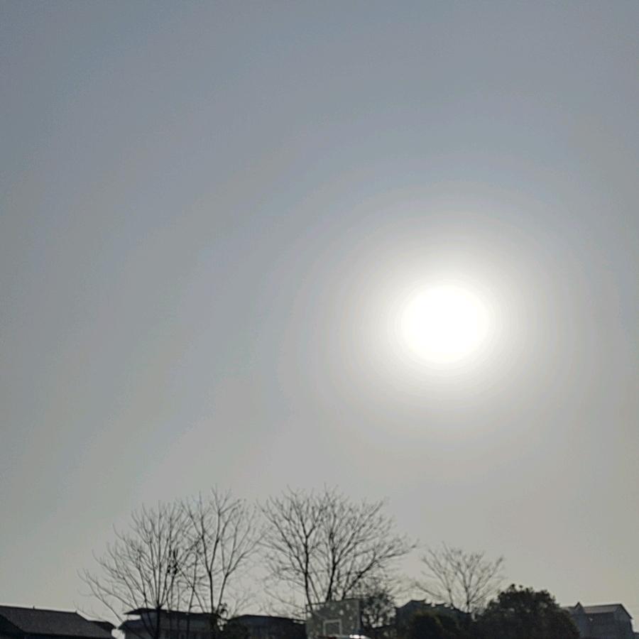 遇梦想飞