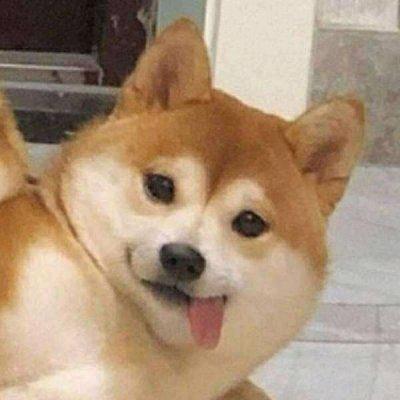 䒕尒㮾头像