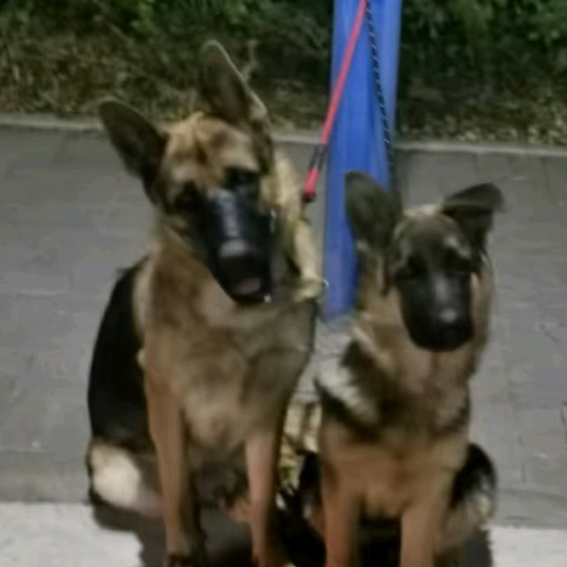 ☜╮( 咖啡 )╭☞