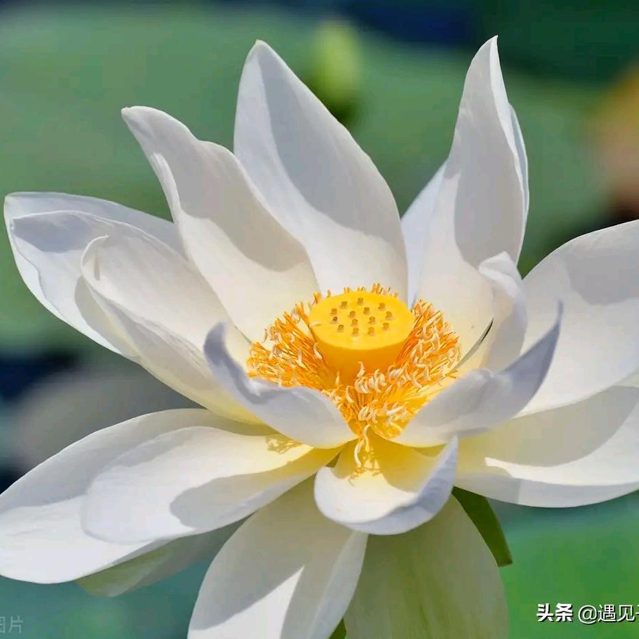 悟缘悟法