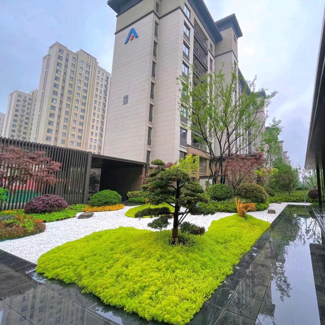 郸城建业府成远