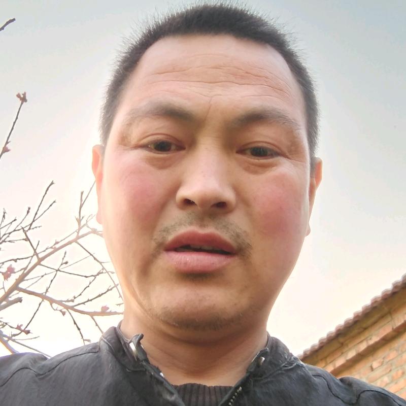 一帆风顺祝大家新年快乐，万事如意