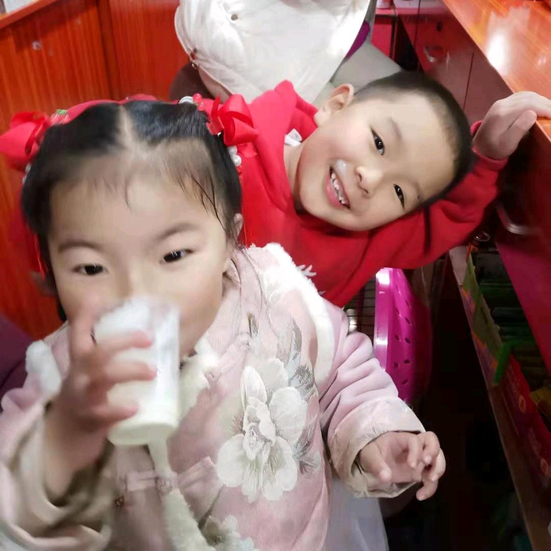 燕子往北飞