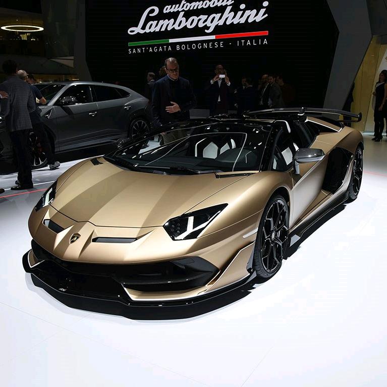 风生水起【果粒橙】的头像