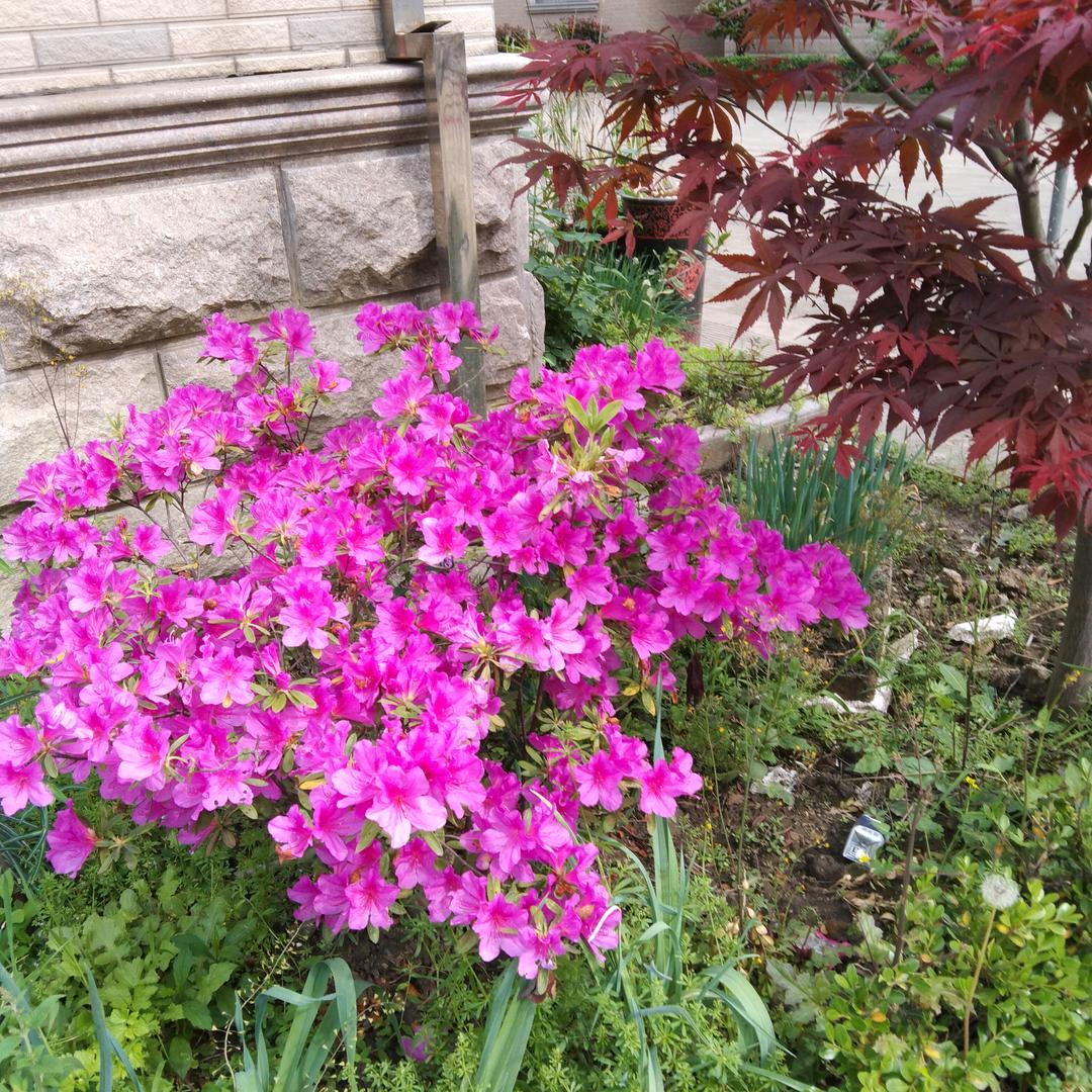 瑶瑶奶奶