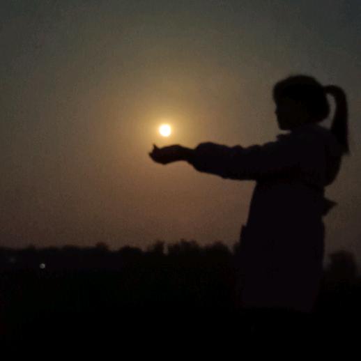 🦊✨️喜上眉梢✨♚娜姐♚