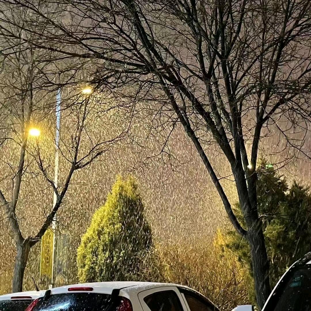 丑丑的小啊鋒