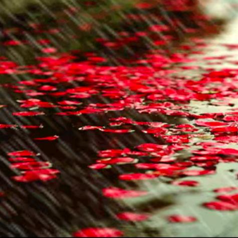 LᎭₑ春满神周ꦿ໌້࿐໌້ᮨ