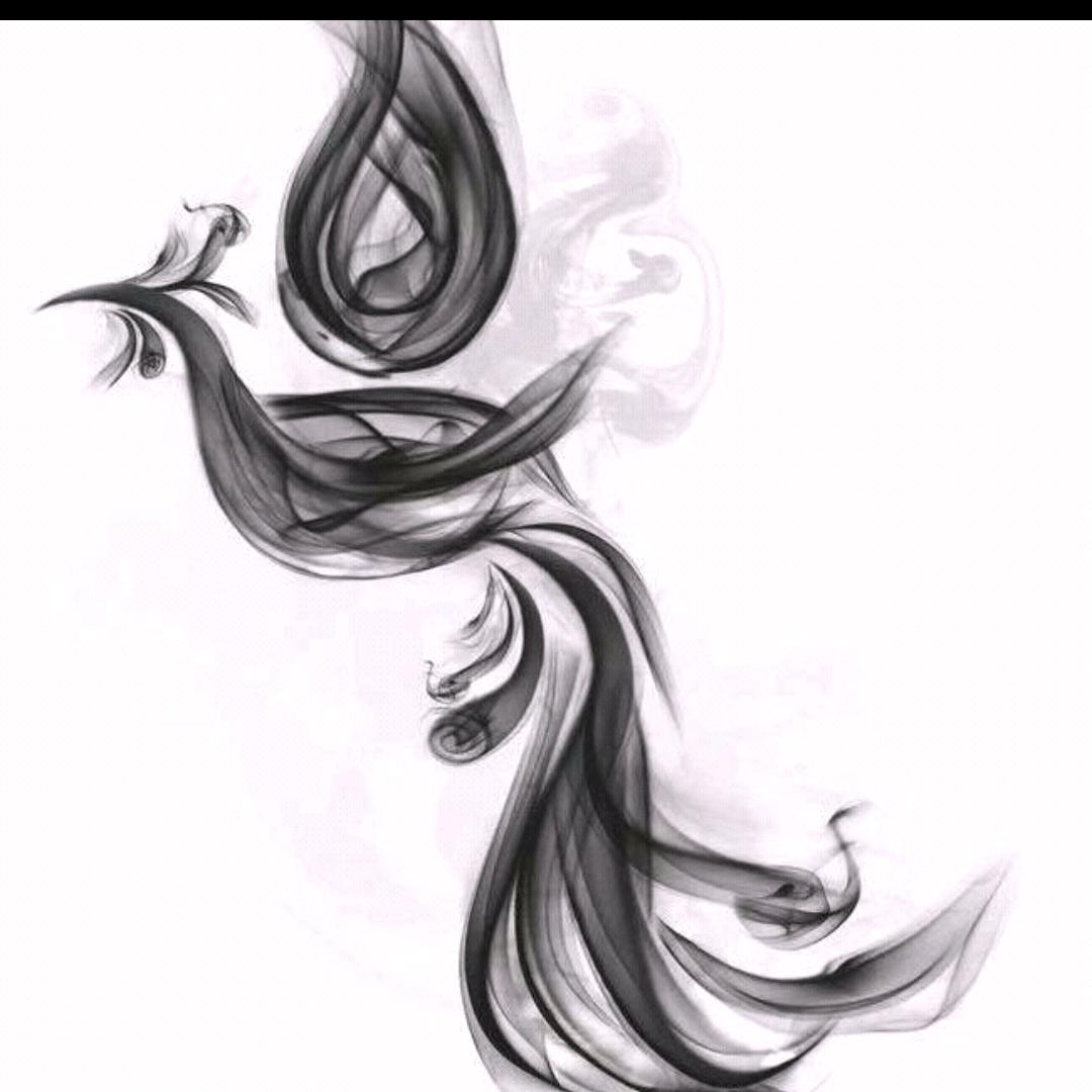 秦琼的经典老歌