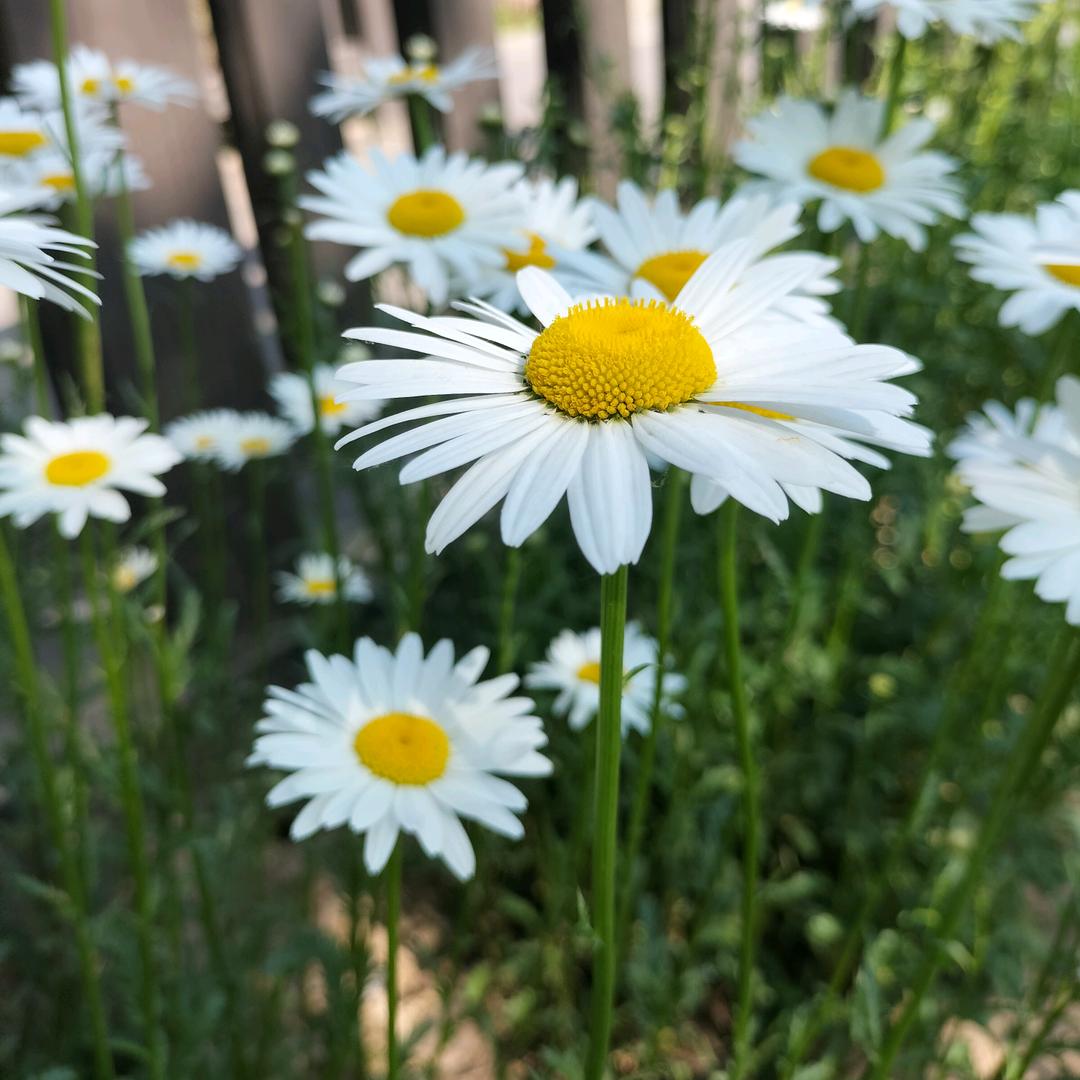 没温度的姐姐👧🏻