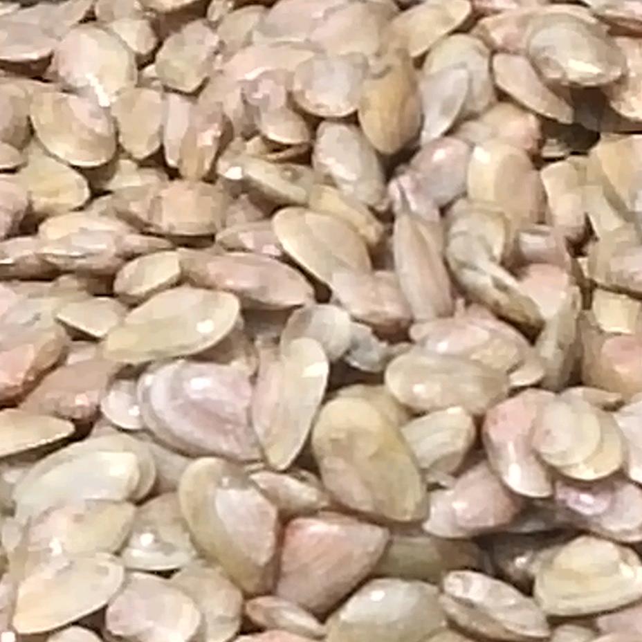 川哥 娱乐唱歌