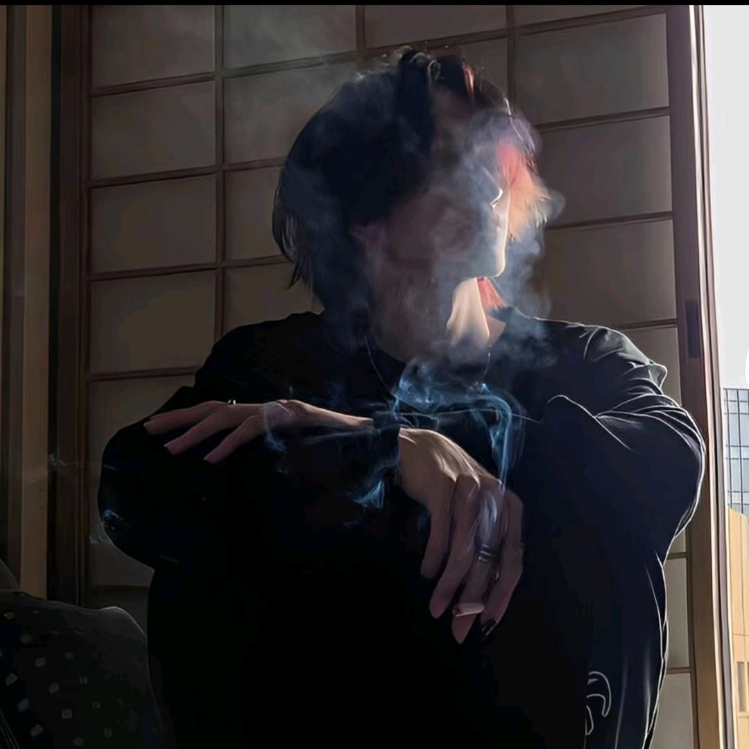 不错的猫