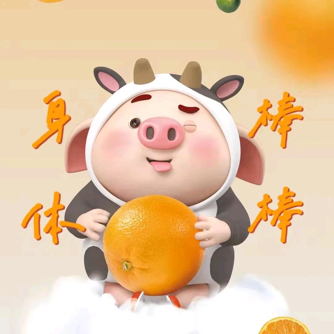 幸运宝宝2024