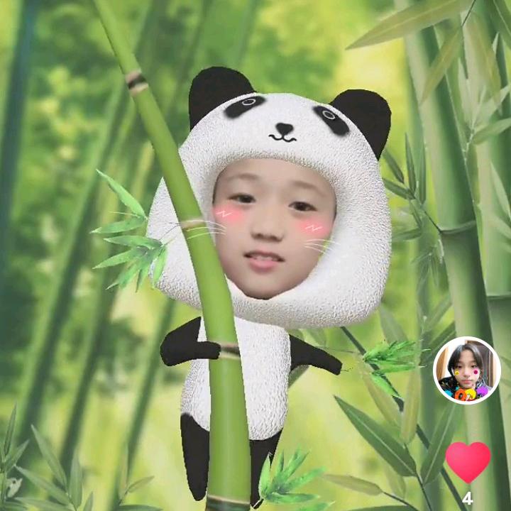 阜阳卷馍杂粮煎饼