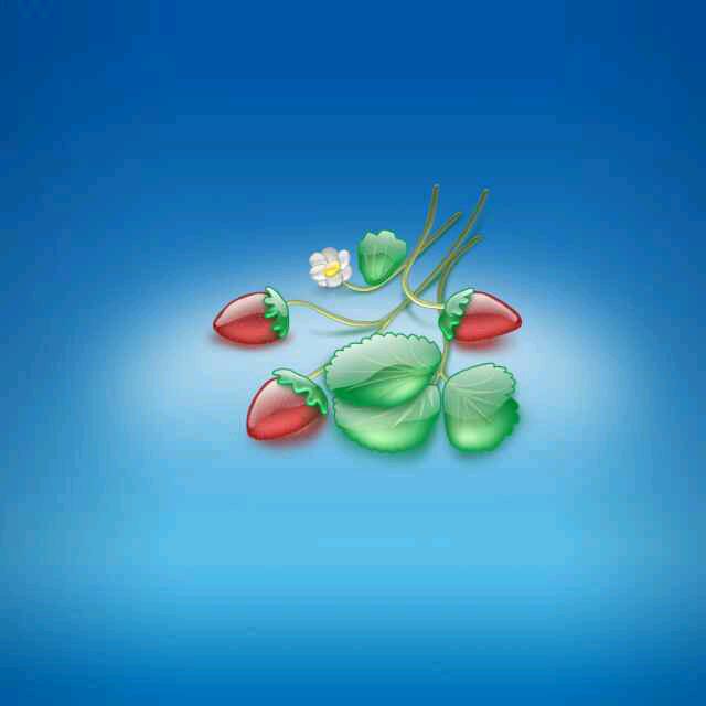 寰宇新生-观半生