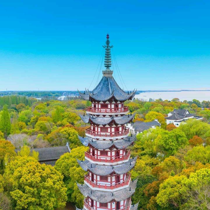 三 伏