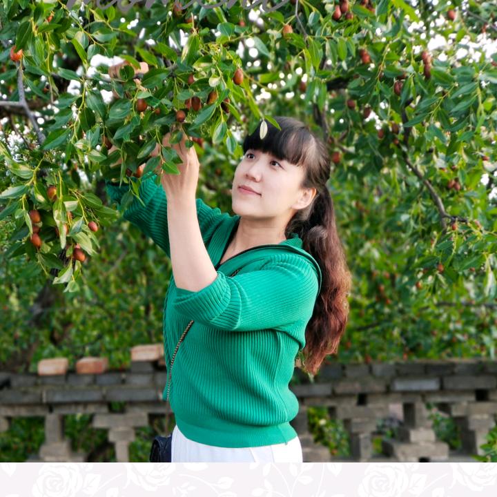 周周带你去旅行