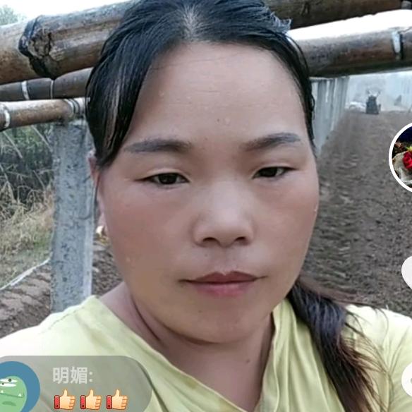 康康妈19点20开播((首播》