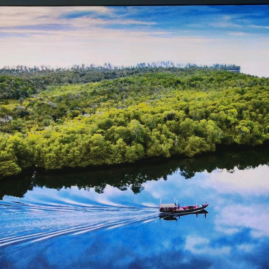 钦州湾
