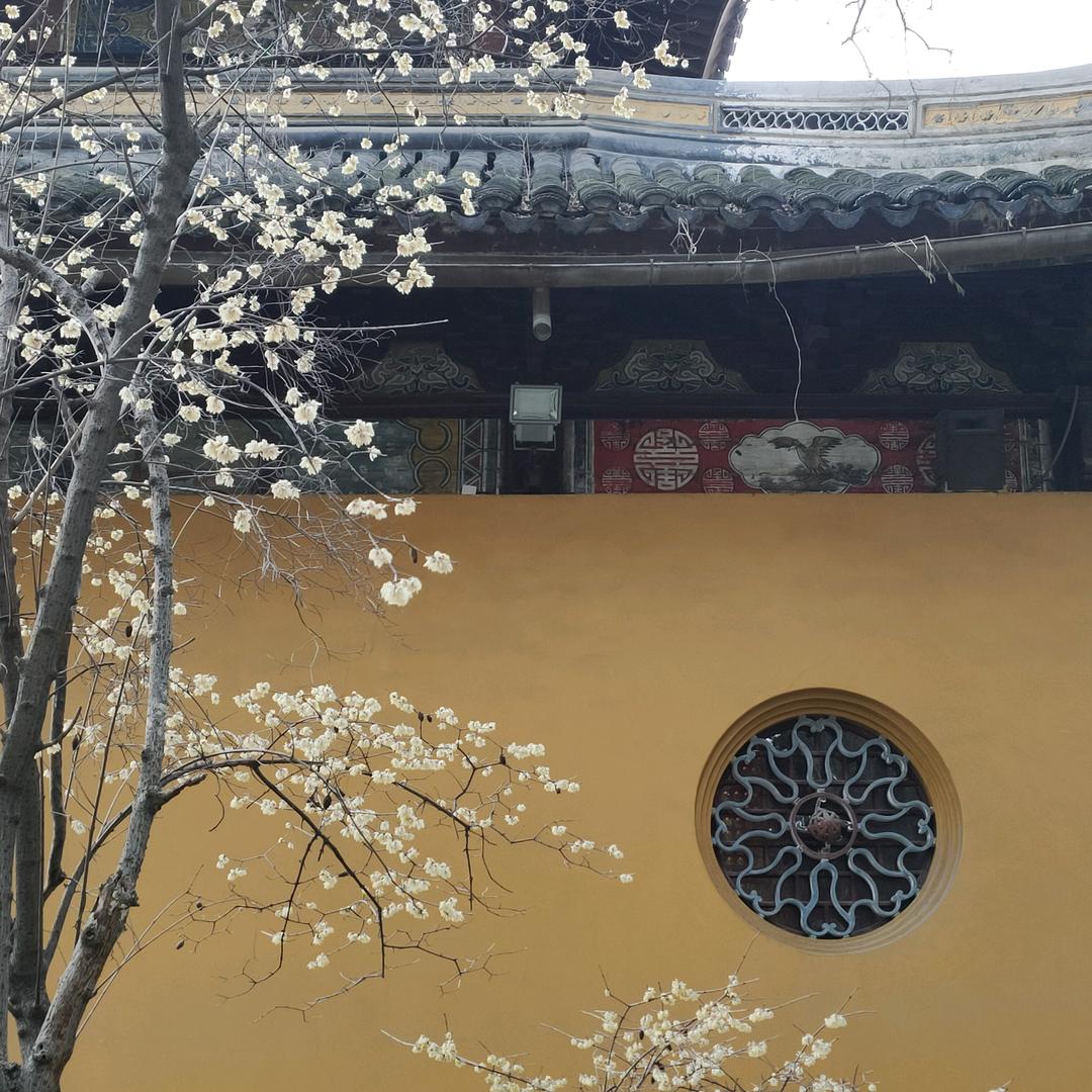 🌞晴天🌻🌻🌻