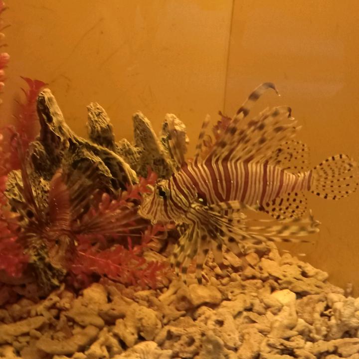 加油！