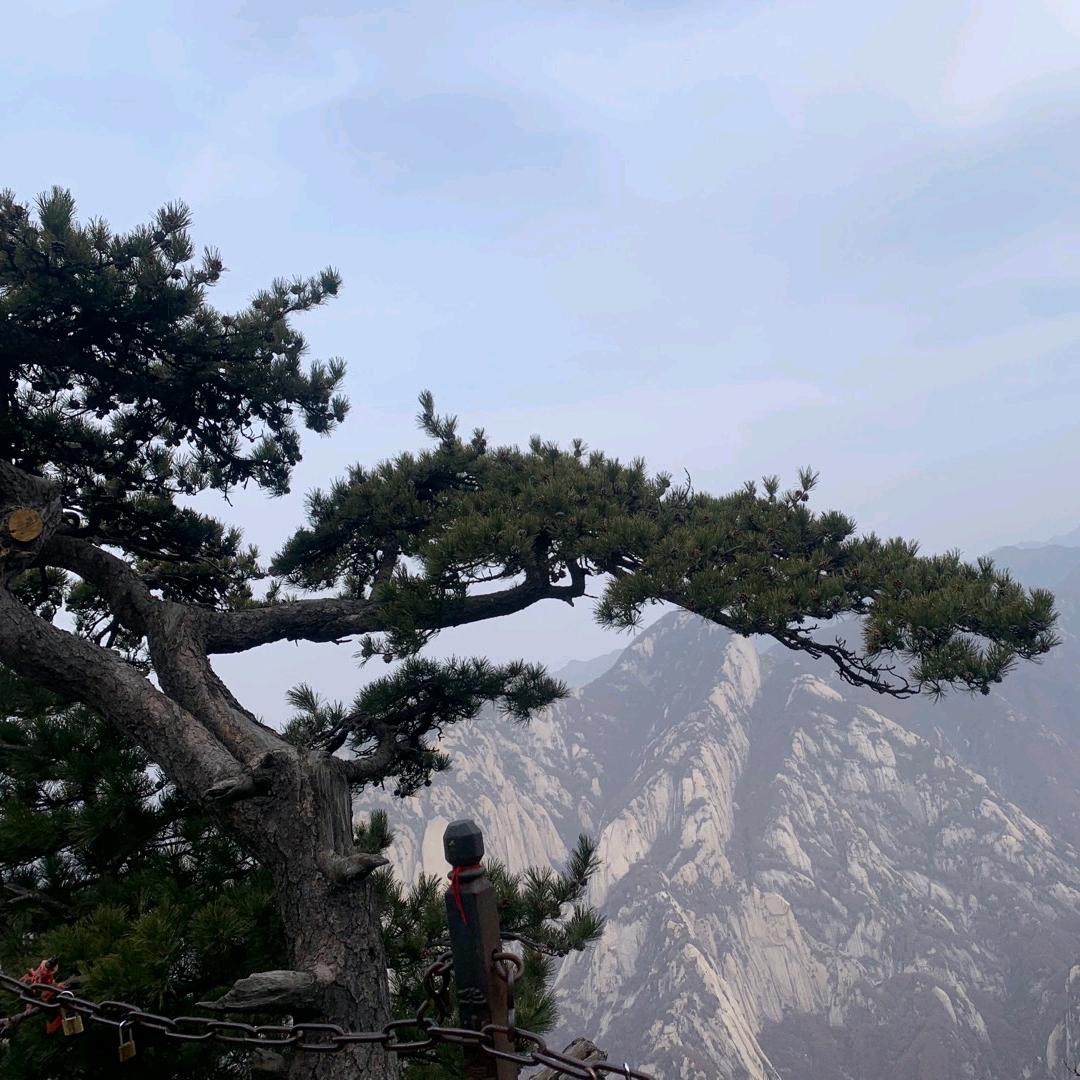 ❤若止水