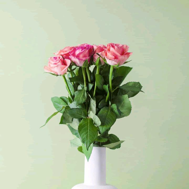 一见钟情