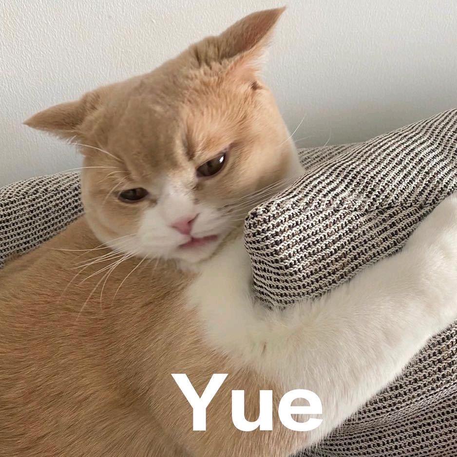啊！