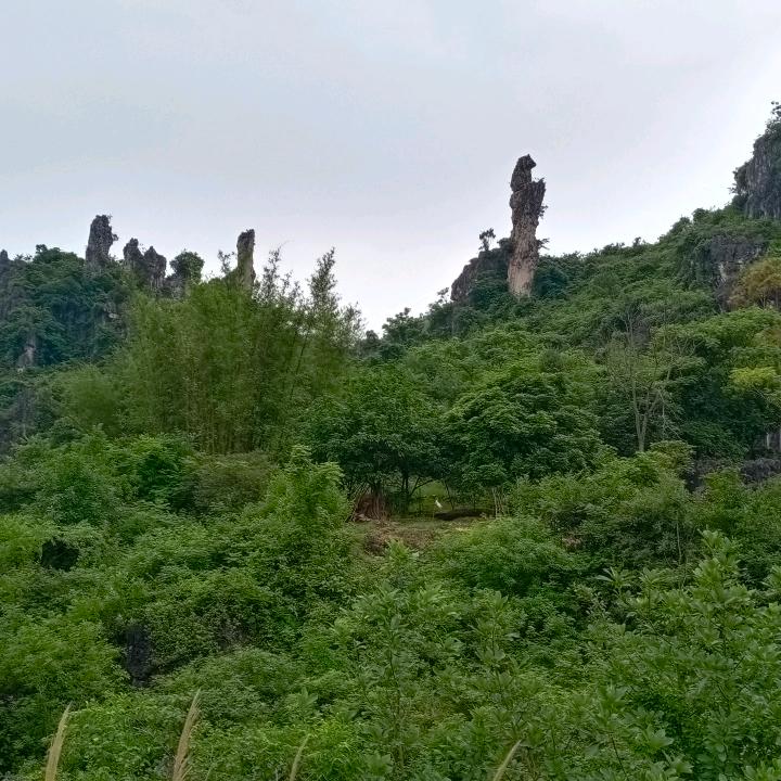情深义重