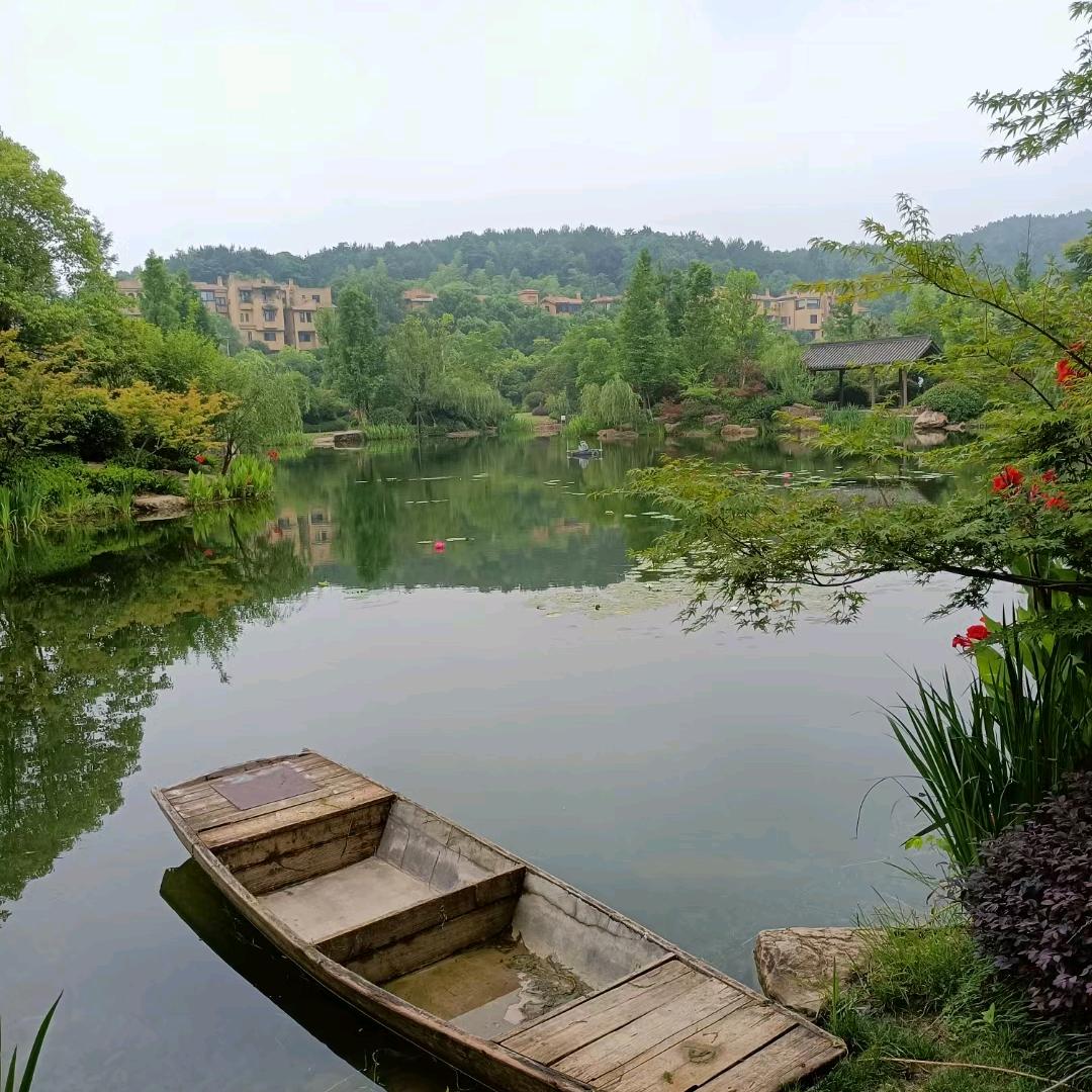 冰山帅气秦凉头像