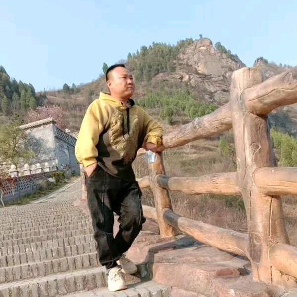 金龙