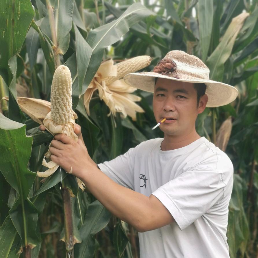 郑家农资