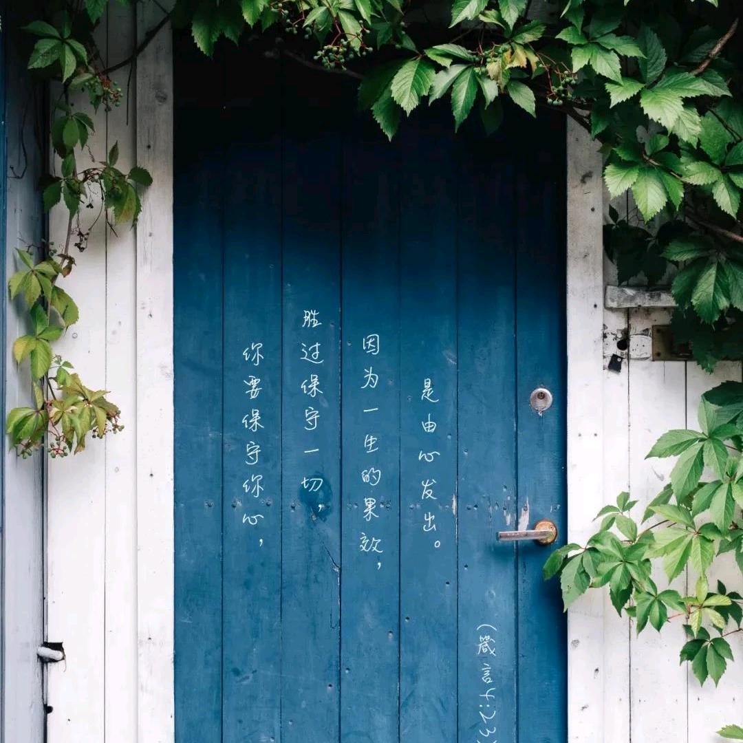 小周鱼