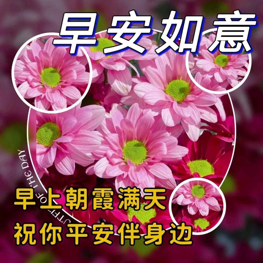 李安…