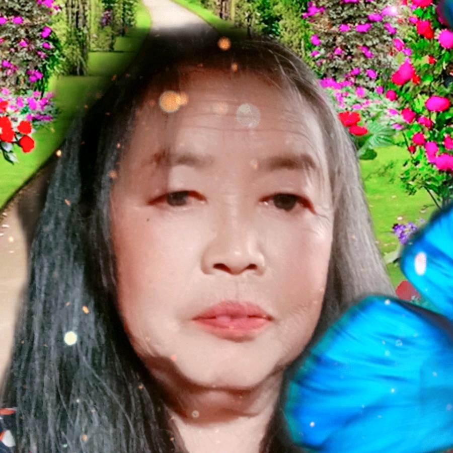 老罗