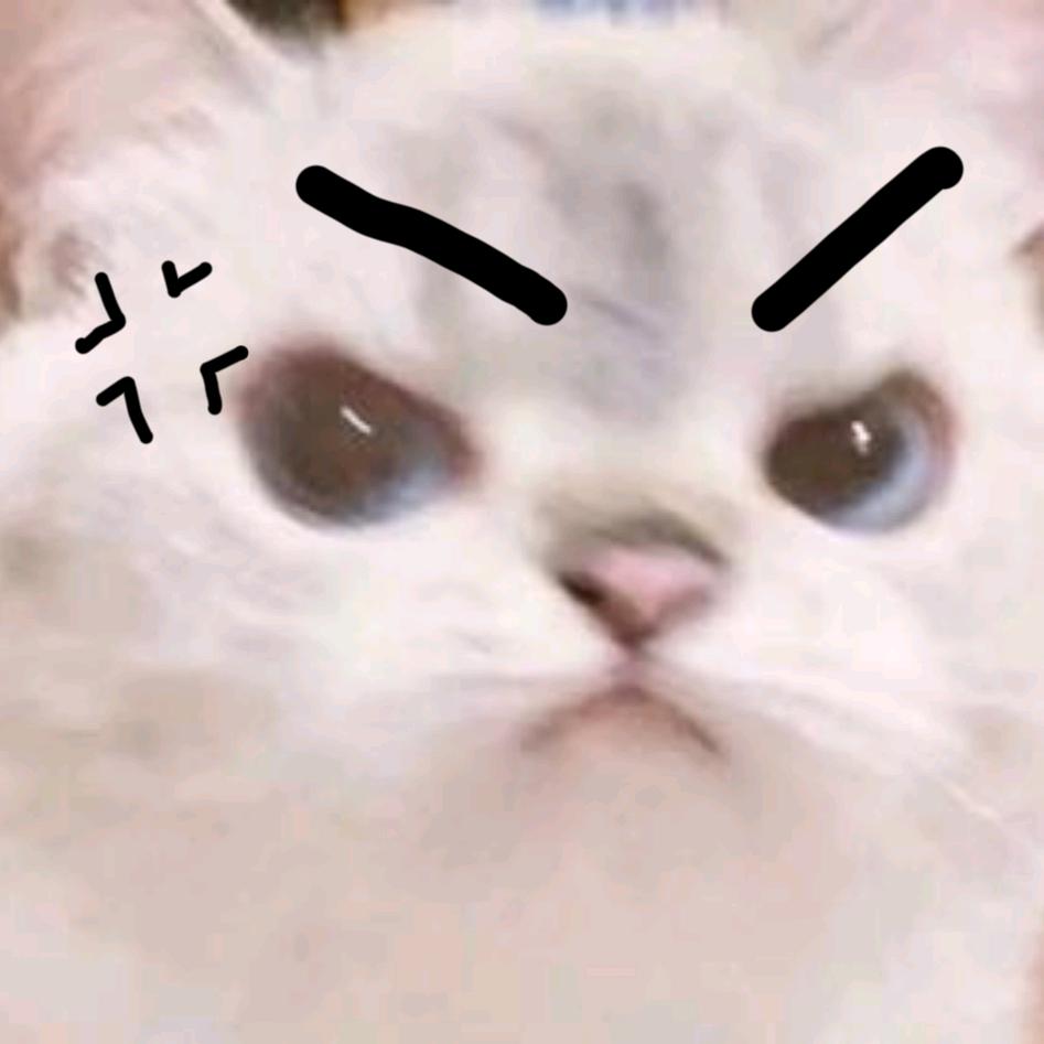 一个小醋包