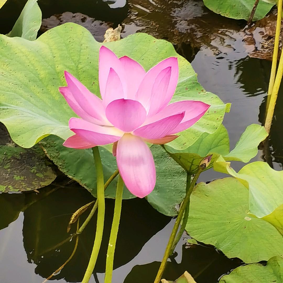丰源科技
